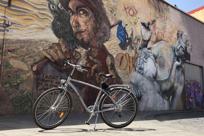 Valencia Street Art | Private Tour by Bike or Electric Ride - A Private Valencia Street Art Bike Tour That Fits Real Schedules