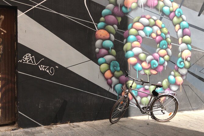 Valencia Street Art | Private Tour by Bike or Electric Ride - Pedaling Into the Narrow Streets for Real Street Art