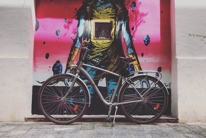 Valencia Street Art | Private Tour by Bike or Electric Ride - What You Get With the Bike: Lock, Pump, and Water