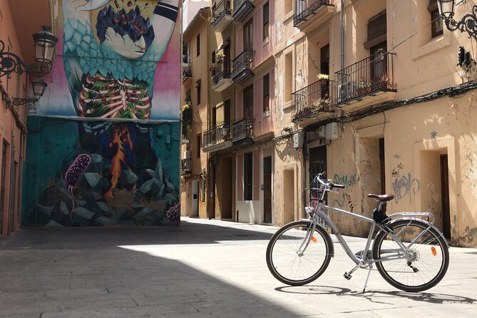Valencia Street Art | Private Tour by Bike or Electric Ride - Who Should Book This Bike Street Art Tour?