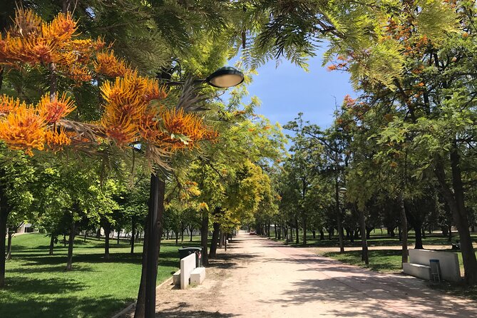 Valencia Street Art | Small Group Guided Tour by Bike - Rolling through the Turia Garden and nearby Valencia sights