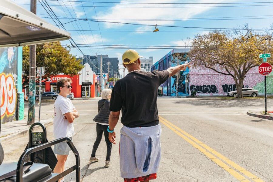 Wynwood Art District 1-Hour Street Art Tour by Golf Cart - Picking the right guide vibe: Lee, Lance, Sarah, and others
