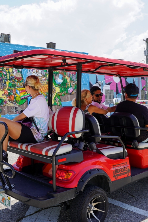 Wynwood Art District 1-Hour Wynwood Buggies Street Art Tour - Who should book this Wynwood street art buggy tour