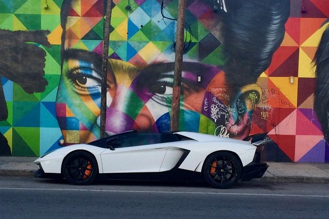 Wynwood French Guided Tour - Street Art - Is $52 worth it? The value equation for Wynwood